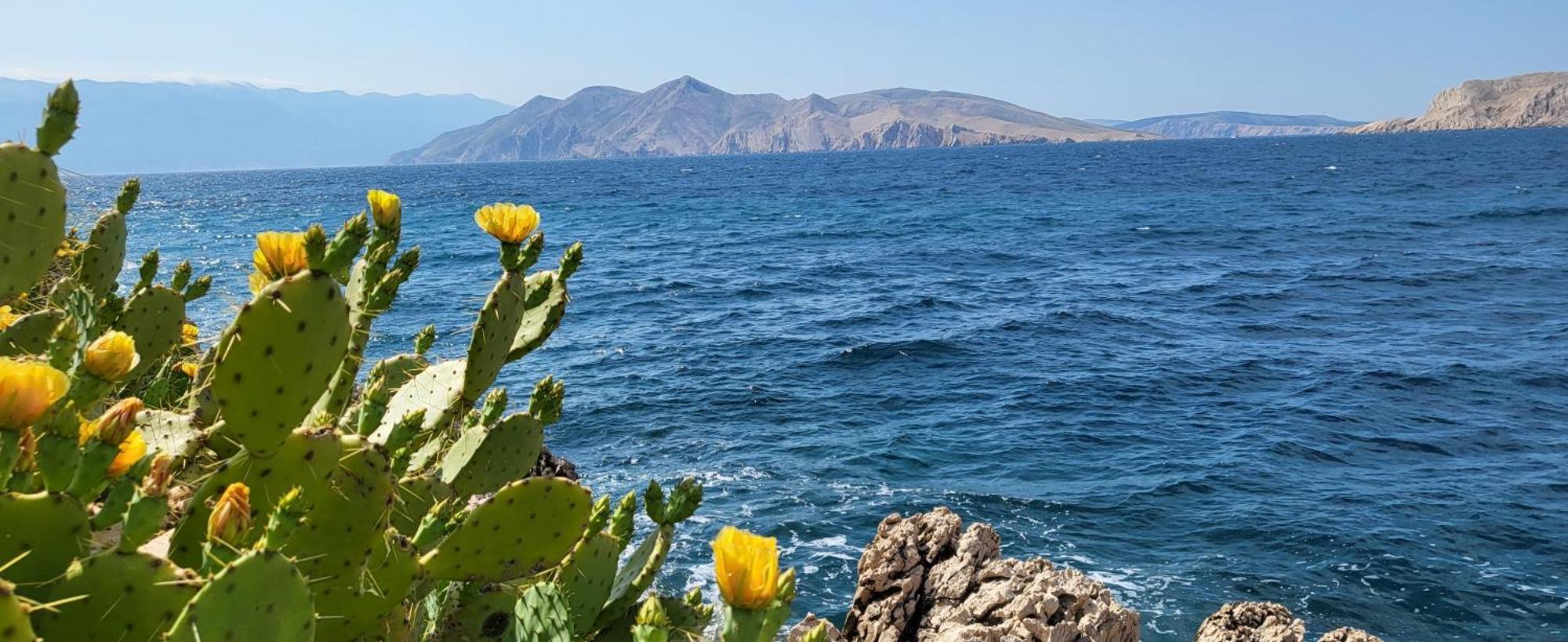 Apartment Zvijezda Baška Zewnętrze zdjęcie
